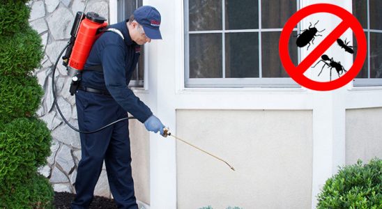 Karaçoban Fare İlaçlama böcek ilaçlama ve haşere kontrolü — ilaclama-tr.com
